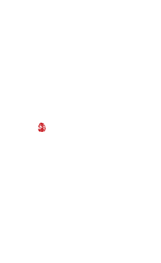 ぜひ味わってほしい旨い地鶏と旨い酒　車の名物料理